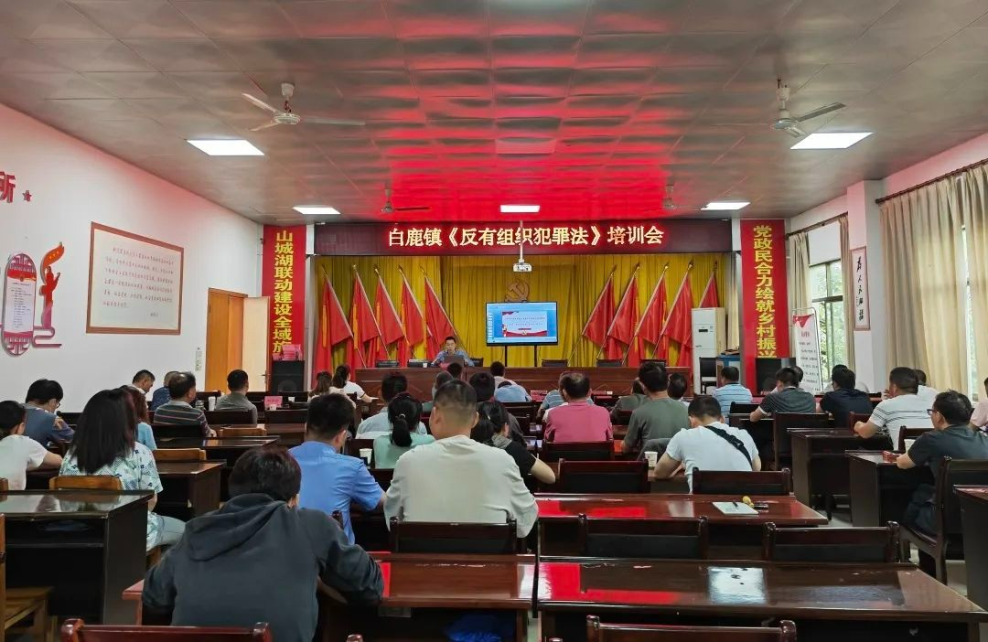 汪宣言受邀为白鹿镇人民政府开展法治专题培训 width=